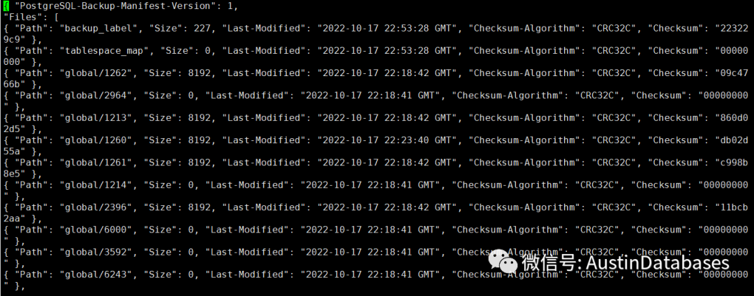 POSTGRESQL 15  pg_basebackup  新功能，LOCAL backup 与  数据强力压缩_python_11