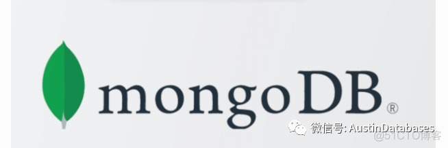 Mongodb  被忽略的 数据类型 索引种类 与限制  与如何导向开发者 （1 常用数据类型）..._大数据