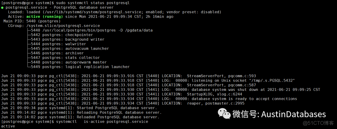 Postgresql  systemctl  启动设置与问题_linux_04