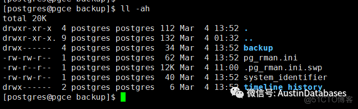 POSTGRESQL  PG_RMAN  基本操作_java_03