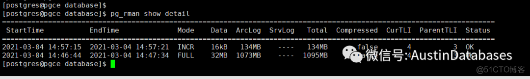 POSTGRESQL  PG_RMAN  基本操作_java_09