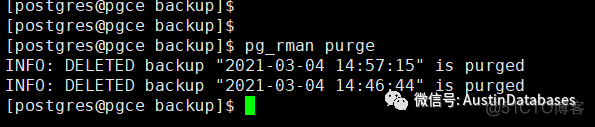 POSTGRESQL  PG_RMAN  基本操作_linux_14