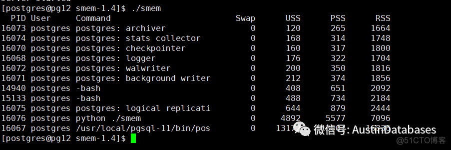 PostgreSQL 内存消耗从LINUX 系统层次看_java_06