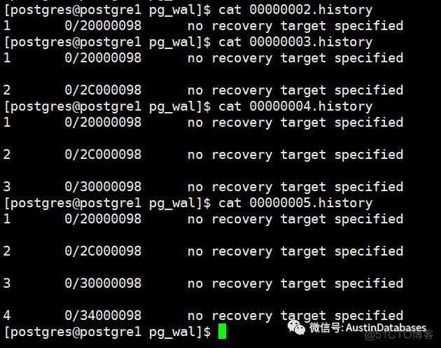 PostgreSQL WAL LOG 与时间线timeline  与rejoin node 错误_时间轴_03