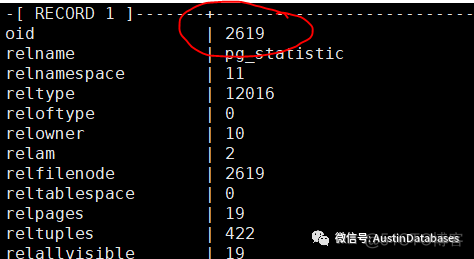 PostgreSQL  读书会   一期  系统目录表   1_主键_07