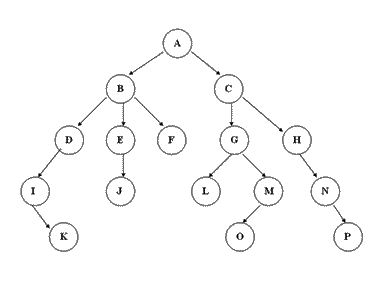 Python定义树 python树的定义_二叉树_02