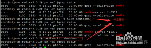 Redis ubuntu 编译版本 ubuntu下安装redis_数据库_13