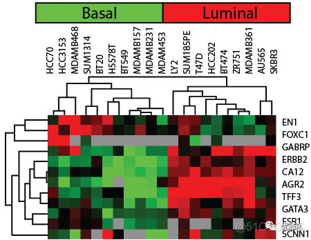 R语言 单基因GSEA r语言基因表达热图_聚类_02
