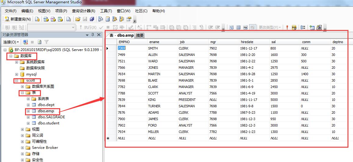 R语言sample列查询 r语言 查询_R语言sample列查询