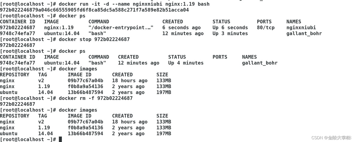 docker的基本使用（常见命令）_容器_09