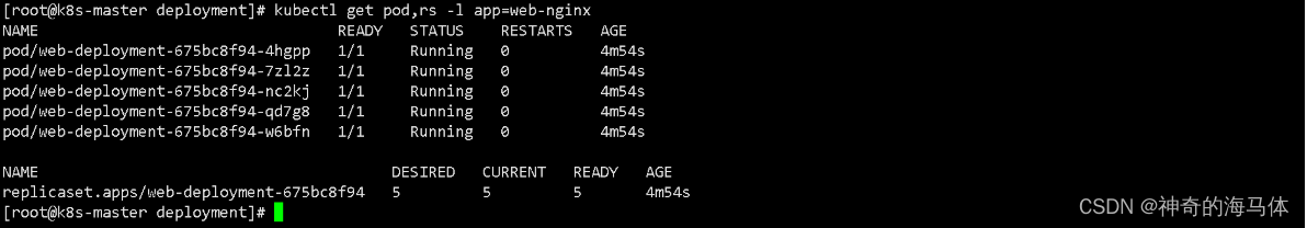 【Kubernetes资源篇】Deployment控制器入门实战详解_deployment_02