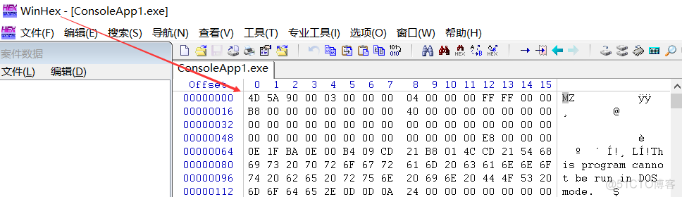 浅聊一下 C#程序的 内存映射文件 玩法_物理内存_03