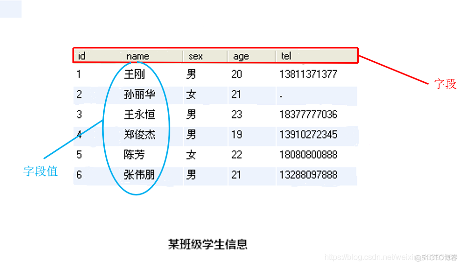 MySQL 车型数据库 mysql数据数据库_MySQL 车型数据库_04