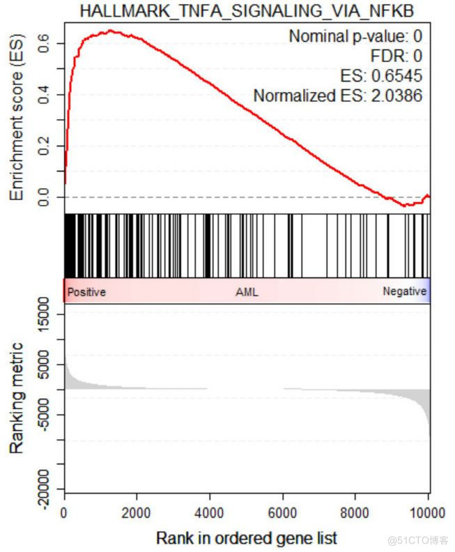 R语言进行基因TCGA的ID转化 r语言rnaseq 数据gsea分析_JAVA_03