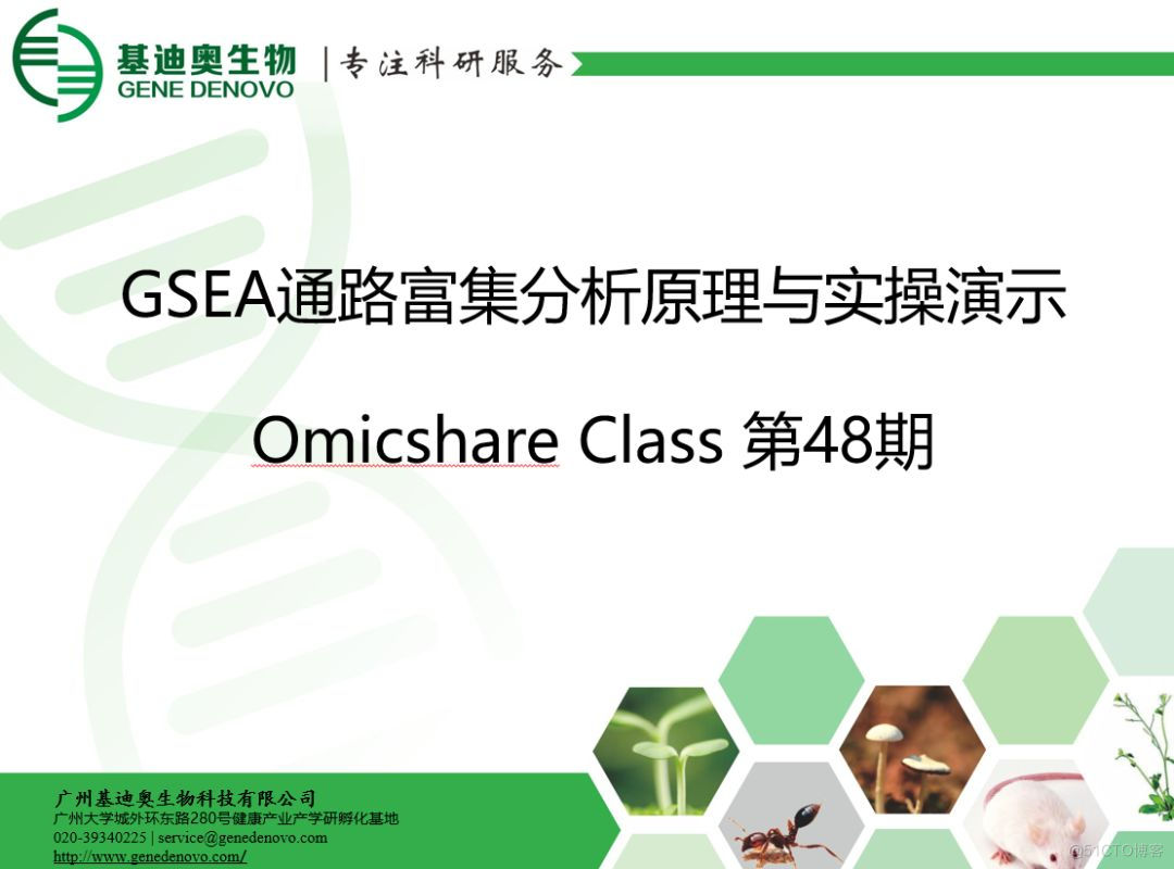 R语言进行基因TCGA的ID转化 r语言rnaseq 数据gsea分析_JAVA