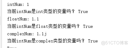 python定义整数 python定义整数变量程序_数据_02