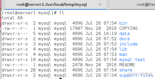 日pv 千万的lnmp架构 lnmp架构搭建_mysql_26