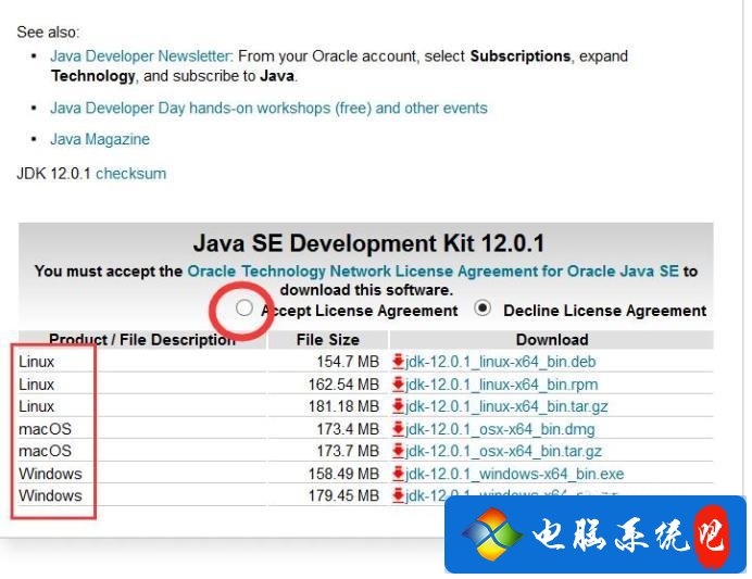 Java编译环境怎么安装 java编译器下载教程_java_04