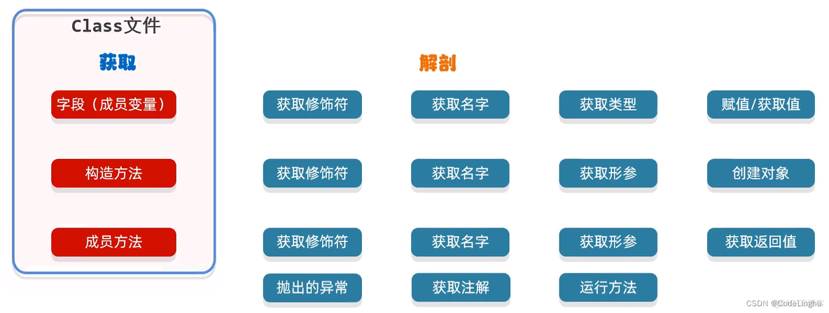 谈一谈Java反射_成员变量_04