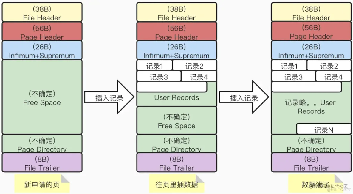 连MySQL的页都不知道，还谈什么索引呢？_MySQL_03