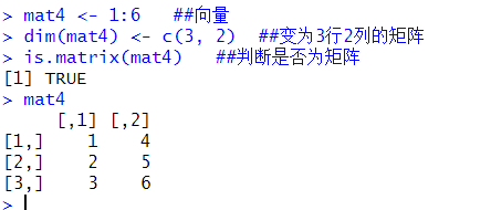 R语言创建list r语言创建矩阵_数据类型_06