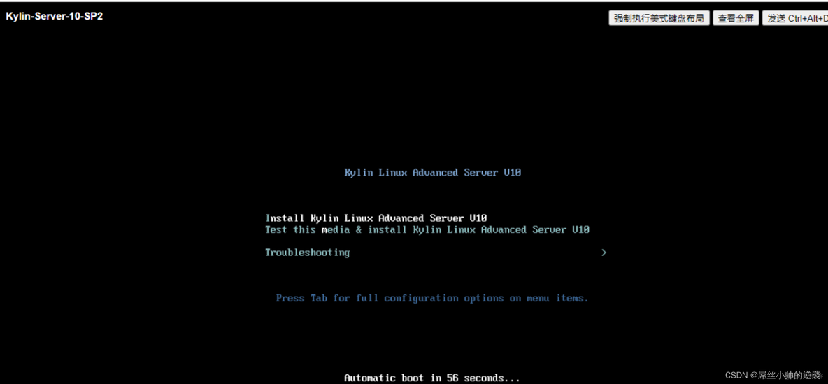 Kylin v10 安装docker kylin v10怎么安装软件_linux_12