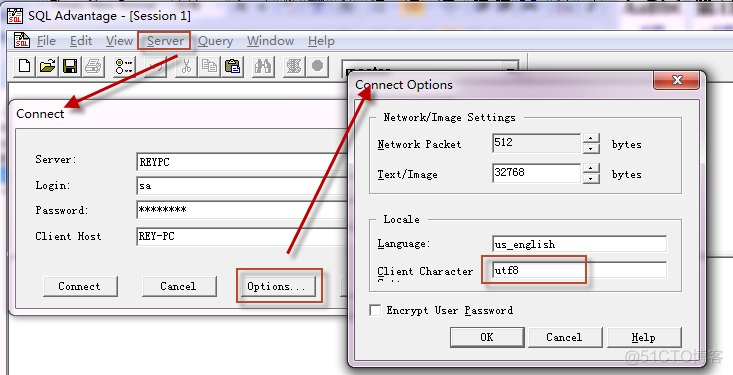 Sybase分库分表方案 sybase数据库使用教程_SYBASE_03