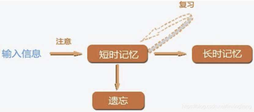 费曼学习法为什么会如此有魅力_音视频_02