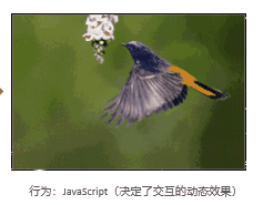 初识JavaScript_javascript_04