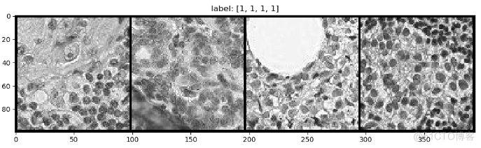 Python 二分类模型评估 python图像二分类_2d_05