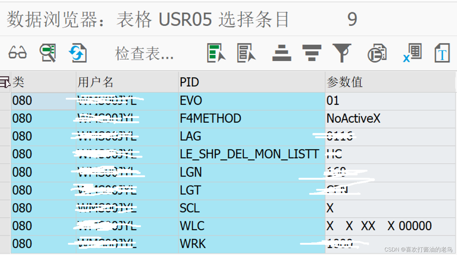 SAP ABAP获取SAP账号User Profile里的参数值_SAP ABAP_09