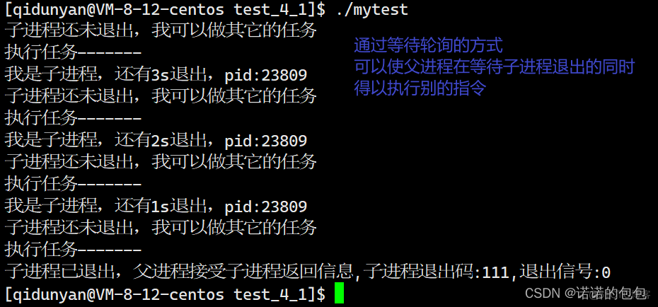 【Linux】进程控制(创建、终止、等待)_子进程_30
