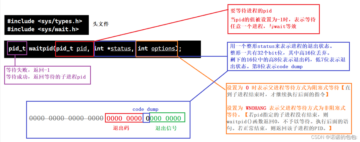 【Linux】进程控制(创建、终止、等待)_#include_24