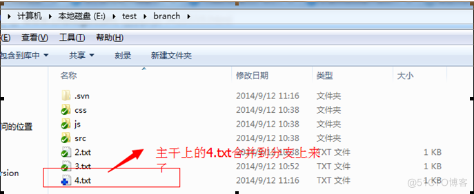 svn 目录结构 trunk java svn怎么打开目录_版本库_49