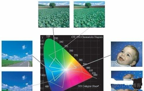 android的rgb跟ps不一样 安卓p3和srgb哪个色准更好_色度图_08