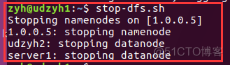 apache hadoop完全分布式搭建 hadoop完全分布式环境搭建_服务器_18