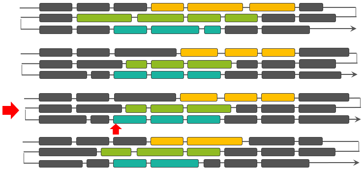 api hbase 分批读取 描述hbase的读取流程_api hbase 分批读取_26