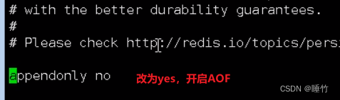 aof redis 在那 redis的aof文件_数据