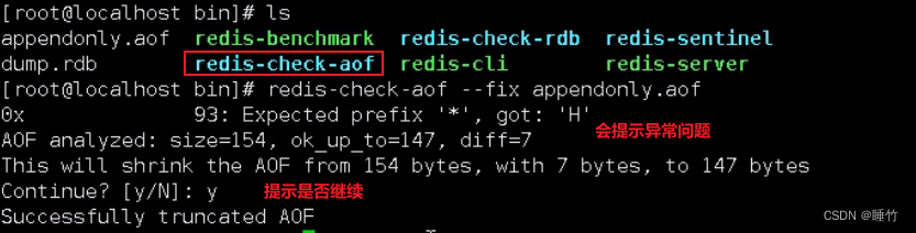 aof redis 在那 redis的aof文件_数据库_04