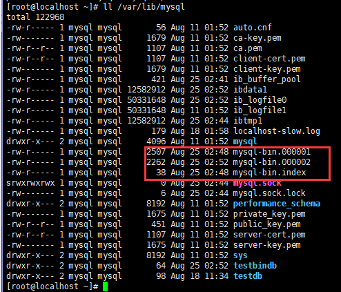 binlog mysql redo 数据恢复 mysql根据binlog恢复数据_二进制日志