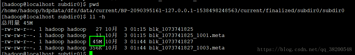 bz2 hadoop 文件查看 hadoop查看文件位置_hdfs文件系统_11