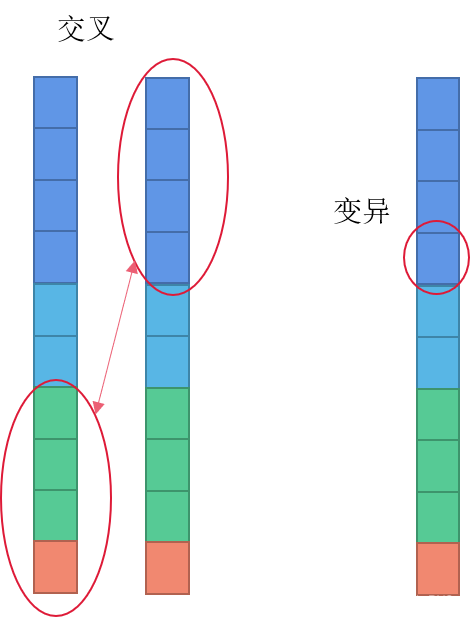 bp神经网络遗传算法优化 bp神经网络与遗传算法_matlab_07