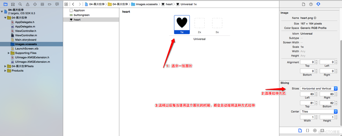 button iOS sd 图片被拉伸 ios照片拉伸工具_xcode_02