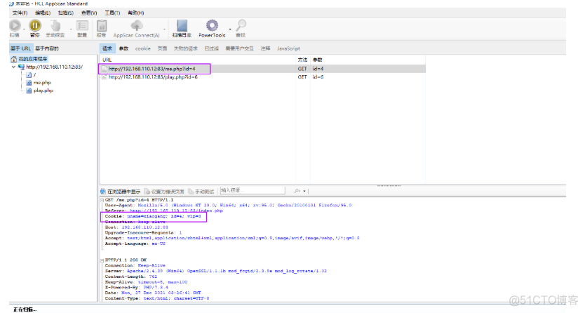 AppScan绕过登录验证码深入扫描_网络安全_39