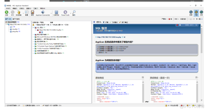 AppScan绕过登录验证码深入扫描_安全_42