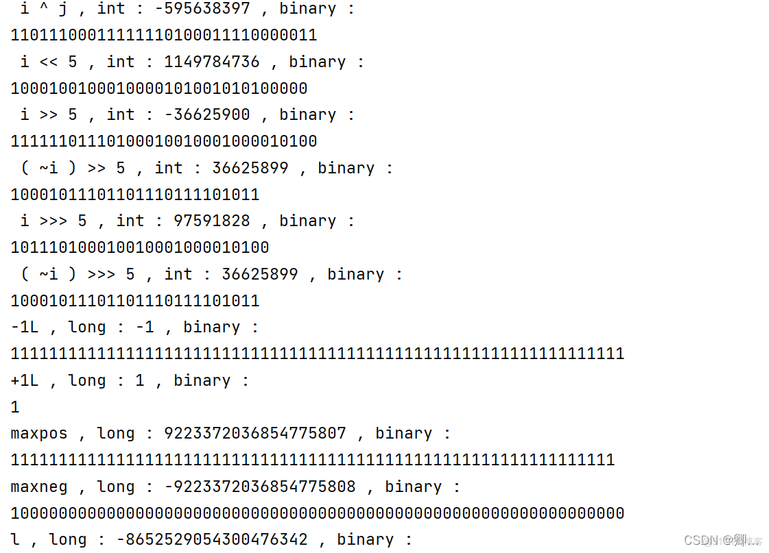 bit 对应Java数据类型 java bit操作_操作数_07