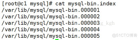 bin mysql 二进制日志 mysql binlog日志_sql_03