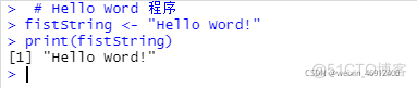 R语言 functions user R语言是什么_r语言_02