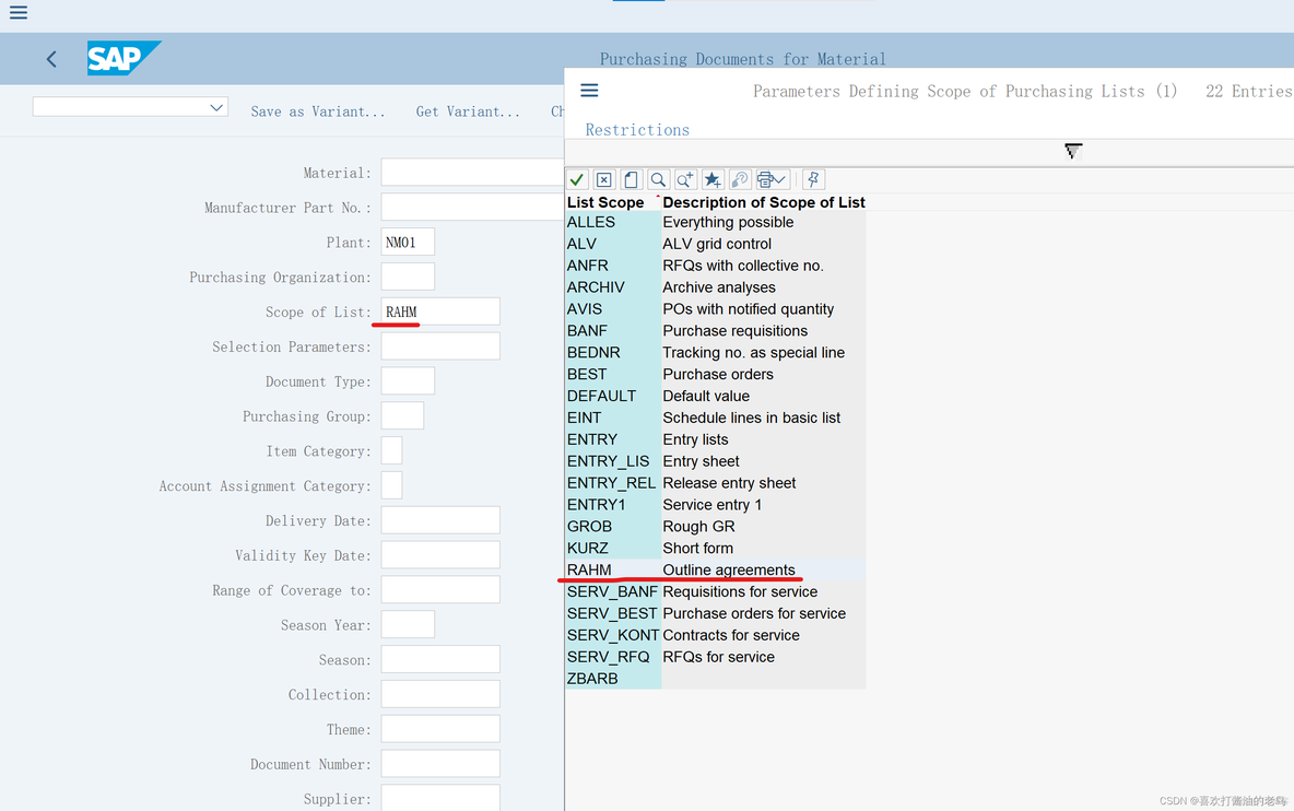 SAP MM 采购报表里的Scope of List RAHM_Scope of List_03