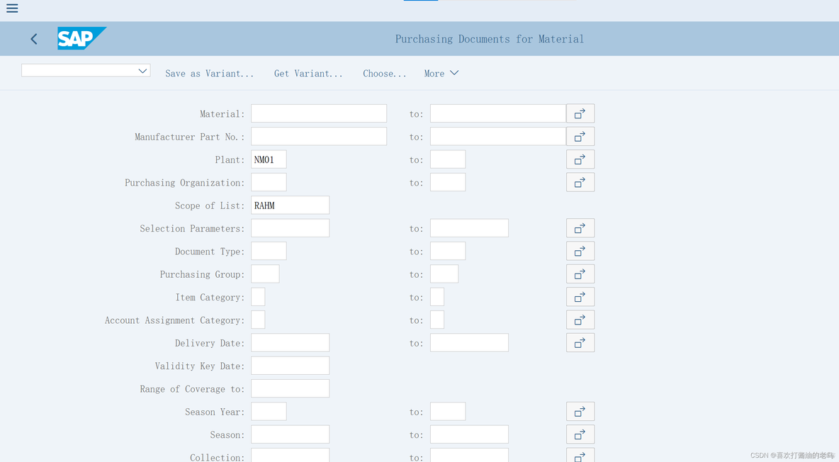 SAP MM 采购报表里的Scope of List RAHM_SAP MM_05